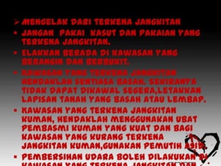  Mengelak dari terkena jangkitan
 Jangan pakai kasut dan pakaian yang
  terkena jangkitan.
 Elakkan berada di kawasan yang
  berangin dan berbukit.
 Kawasan yang terkena jangkitan
  hendaklah sentiasa basah. Sekiranya
  tidak dapat dikawal segera,letakkan
  lapisan tanah yang basah atau lembap.
 Kawasan yang terkena jangkitan
  kuman, hendaklah menggunakan ubat
  pembasmi kuman yang kuat dan bagi
  kawasan yang kurang terkena
  jangkitan kuman,gunakan pemutih asid.
 Pembersihan udara boleh dilakukan di
 