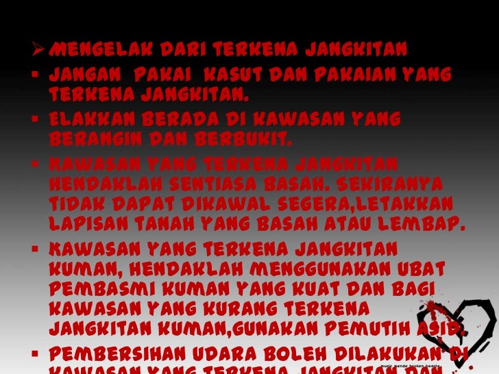 Bencana + peperangan
