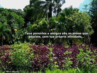 Teus parentes e amigos são as almas que atraíste, com tua própria afinidade... ESALQ - Piracicaba 