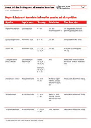bench aids for the diagnosis of intestinal parasites1.pdf