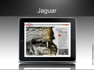 Jaguar
www.rodolphechampagne.fr
 