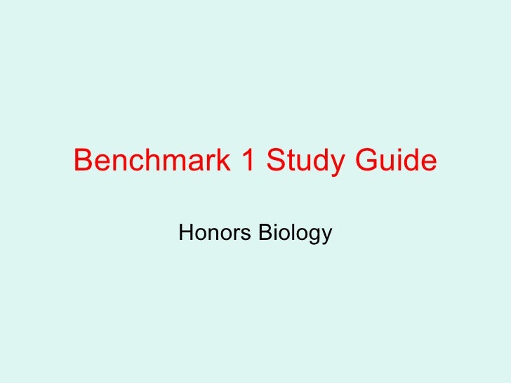 taks benchmark tests