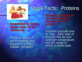 Quick Facts: Proteins
                       • Enzymes, catalysts of
                         chemical reactions,
                         are one type of
• Assembled by linking   protein
  amino acids at the
  ribosomes             • Enzymes typically end
                          in –ase. Each type of
• Physical result of      enzyme has its own
  gene reading and        optimum temperature
  assembly (DNA—          and pH range in
                          which it works best.
  mRNA—protein)
 