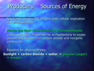 Producers: Sources of Energy
• Autotrophs (producers) perform both cellular respiration
  and photosynthesis

• Plants use their chloroplasts to photosynthesize
• Chemosynthesis: Performed by archaebacteria to create
  glucose and oxygen from carbon dioxide and inorganic
  compounds

• Equation for photosynthesis:
Sunlight + carbon dioxide + water  glucose (sugar)
  + oxygen
 