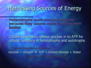 Harnessing Sources of Energy
• Heterotrophs must consume glucose
  because they cannot make it within their
  bodies

• Cellular respiration refines glucose in to ATP for
  cellular functions in heterotrophs and autotrophs

 • Cellular Respiration Equation:
 Glucose + Oxygen  ATP + Carbon Dioxide + Water
             (Happens in the mitochondria)
 