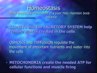 Homeostasis
 Many processes we studied this year help maintain body
                         balance

• KIDNEYS and the EXCRETORY SYSTEM help
  remove wastes created in the cells

• OSMOSIS and DIFFUSION regulate the
  movement of important nutrients and water into
  the cells

• MITOCHONDRIA create the needed ATP for
  cellular functions and muscle firing
 