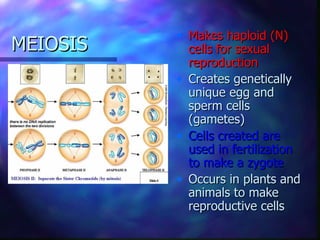 • Makes haploid (N)
MEIOSIS     cells for sexual
            reproduction
          • Creates genetically
            unique egg and
            sperm cells
            (gametes)
          • Cells created are
            used in fertilization
            to make a zygote
          • Occurs in plants and
            animals to make
            reproductive cells
 