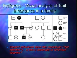 Pedigrees: Visual analysis of trait
     inheritance in a family




  • Shaded individuals have the phenotype (“are
    affected”) – is this a dominant or recessive
    disorder?
 