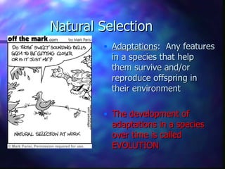 Natural Selection
        • Adaptations: Any features
          in a species that help
          them survive and/or
          reproduce offspring in
          their environment

        • The development of
          adaptations in a species
          over time is called
          EVOLUTION
 