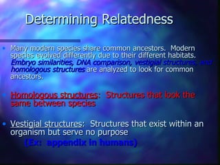 Determining Relatedness

• Many modern species share common ancestors. Modern
  species evolved differently due to their different habitats.
  Embryo similarities, DNA comparison, vestigial structures, and
  homologous structures are analyzed to look for common
  ancestors.

• Homologous structures: Structures that look the
  same between species

• Vestigial structures: Structures that exist within an
  organism but serve no purpose
     (Ex: appendix in humans)
 