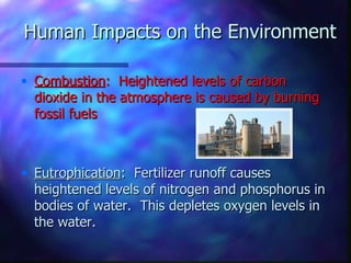Human Impacts on the Environment

• Combustion: Heightened levels of carbon
  dioxide in the atmosphere is caused by burning
  fossil fuels



• Eutrophication: Fertilizer runoff causes
  heightened levels of nitrogen and phosphorus in
  bodies of water. This depletes oxygen levels in
  the water.
 