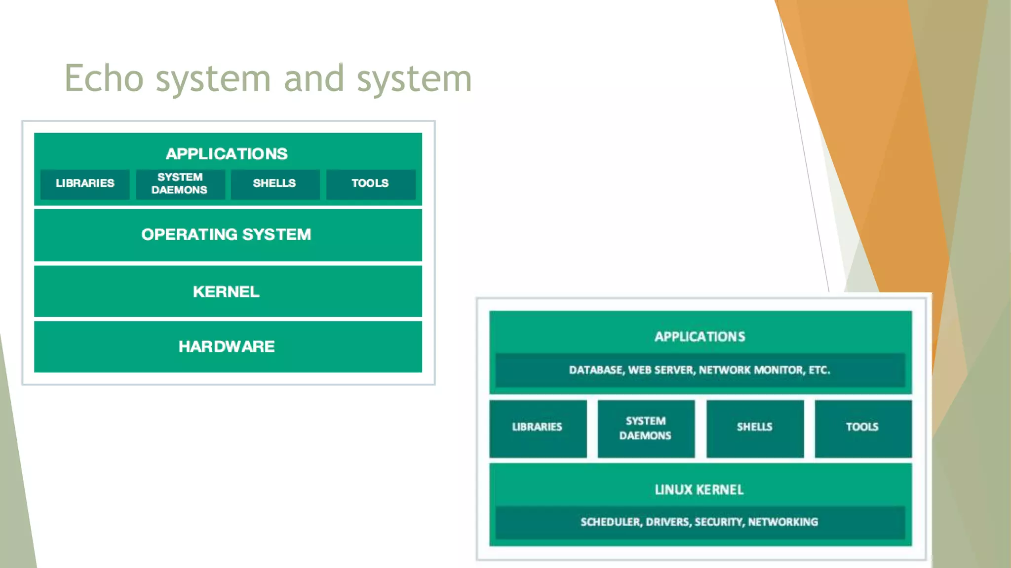 Echo system and system
 