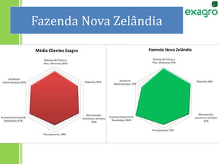 Fazenda Nova Zelândia
 