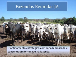 -Confinamento estratégico com cana hidrolisada e
concentrado formulado na fazenda;
Fazendas Reunidas JA
 