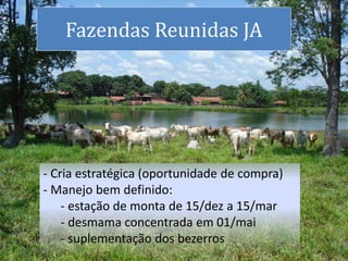 - Cria estratégica (oportunidade de compra)
- Manejo bem definido:
- estação de monta de 15/dez a 15/mar
- desmama concentrada em 01/mai
- suplementação dos bezerros
Fazendas Reunidas JA
 