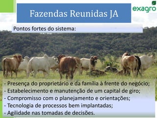 Fazendas Reunidas JA
- Presença do proprietário e da família à frente do negócio;
- Estabelecimento e manutenção de um capital de giro;
- Compromisso com o planejamento e orientações;
- Tecnologia de processos bem implantadas;
- Agilidade nas tomadas de decisões.
Pontos fortes do sistema:
 