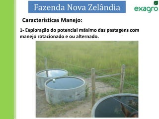 Características Manejo:
1- Exploração do potencial máximo das pastagens com
manejo rotacionado e ou alternado.
Fazenda Nova Zelândia
 