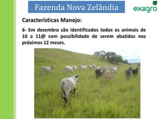 6- Em dezembro são identificados todos os animais de
10 a 11@ com possibilidade de serem abatidos nos
próximos 12 meses.
Características Manejo:
Fazenda Nova Zelândia
 