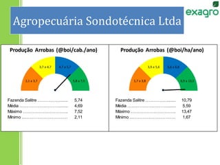 Agropecuária Sondotécnica Ltda
Fazenda Salitre ……………................5,74 Fazenda Salitre ……………................10,79
Média ………………………...................….4,69 Média ………………………...................….5,59
Máximo ………………………….......................7,52 Máximo ………………………….......................13,47
Mínimo ...…………………………....................2,11 Mínimo ...…………………………....................1,67
2,1 a 3,7
3,7 a 4,7 4,7 a 5,7
5,8 a 7,5 1,7 a 3,8
3,9 a 5,6 5,6 a 6,8
6,9 a 13,5
Produção Arrobas (@boi/cab./ano) Produção Arrobas (@boi/ha/ano)
Custeio Total (R$/cab./ano) Retorno / Capital em gado e máquinas (%)
 