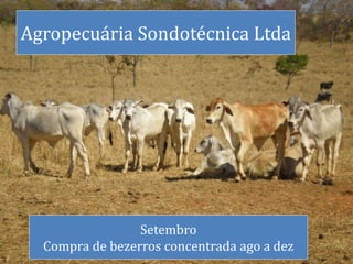 Agropecuária Sondotécnica Ltda
Setembro
Compra de bezerros concentrada ago a dez
 