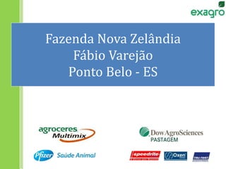 Fazenda Nova Zelândia
Fábio Varejão
Ponto Belo - ES
 