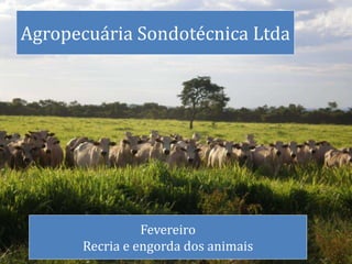 Agropecuária Sondotécnica Ltda
Fevereiro
Recria e engorda dos animais
 