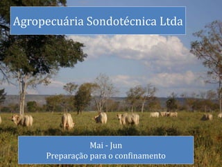 Agropecuária Sondotécnica Ltda
Mai - Jun
Preparação para o confinamento
 