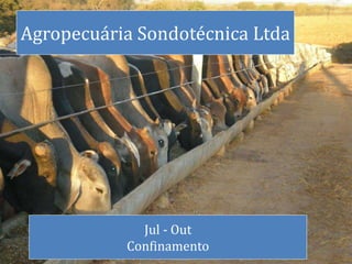Agropecuária Sondotécnica Ltda
Jul - Out
Confinamento
 