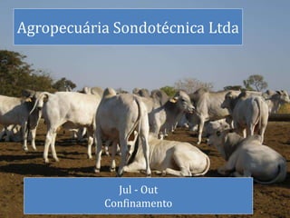 Agropecuária Sondotécnica Ltda
Jul - Out
Confinamento
 