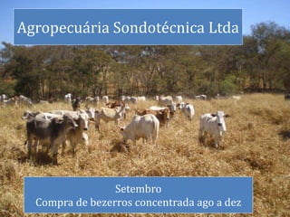 Agropecuária Sondotécnica Ltda
Setembro
Compra de bezerros concentrada ago a dez
 