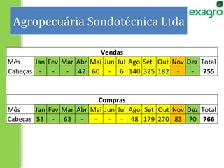 Agropecuária Sondotécnica Ltda
Mês Jan Fev Mar Abr Mai Jun Jul Ago Set Out Nov Dez Total
Cabeças - - - 42 60 - 6 140 325 182 - - 755
Mês Jan Fev Mar Abr Mai Jun Jul Ago Set Out Nov Dez Total
Cabeças 53 - 63 - - - - 48 179 270 83 70 766
Vendas
Compras
 