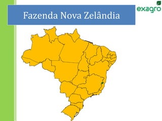 Fazenda Nova Zelândia
 