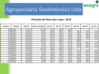 Agropecuária Sondotécnica Ltda
 