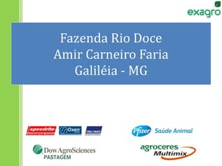 Fazenda Rio Doce
Amir Carneiro Faria
Galiléia - MG
 