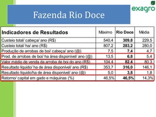 Fazenda Rio Doce
Indicadores de Resultados Máximo Rio Doce Média
Custeio total/ cabeça/ ano (R$) 540,4 309,8 229,5
Custeio total/ ha/ ano (R$) 807,2 283,2 280,0
Produção de arrobas de boi/ cabeça/ ano (@) 7,5 7,4 4,7
Prod. de arrobas de boi/ ha área disponível/ ano (@) 13,5 6,8 5,4
Valor médio de venda da arroba de boi do ano (R$) 104,4 82,4 80,3
Resultado líquido/ ha de área disponível/ ano (R$) 353,7 316,0 146,1
Resultado líquido/ha de área disponível/ ano (@) 5,0 3,8 1,8
Retorno/ capital em gado e máquinas (%) 46,5% 46,5% 14,3%
 