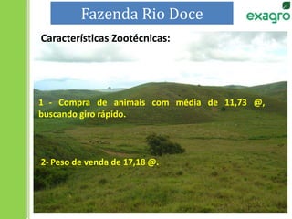 1 - Compra de animais com média de 11,73 @,
buscando giro rápido.
Características Zootécnicas:
2- Peso de venda de 17,18 @.
Fazenda Rio Doce
 