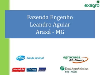 Fazenda Engenho
Leandro Aguiar
Araxá - MG
 