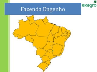 Fazenda Engenho
 