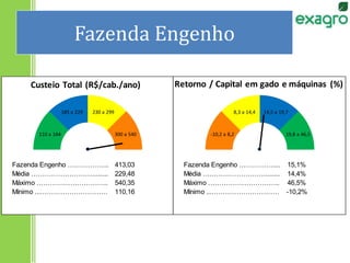 Fazenda Engenho
Fazenda Engenho ……………................413,03 Fazenda Engenho ……………................15,1%
Média ………………………...................….229,48 Média ………………………...................….14,4%
Máximo ………………………….......................540,35 Máximo ………………………….......................46,5%
Mínimo ...…………………………....................110,16 Mínimo ...…………………………....................-10,2%
-10,2 a 8,2
8,3 a 14,4 14,5 a 19,7
19,8 a 46,5110 a 184
185 a 229 230 a 299
300 a 540
Custeio Total (R$/cab./ano) Retorno / Capital em gado e máquinas (%)
 