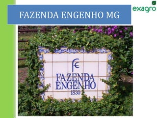 FAZENDA ENGENHO MG
 