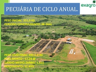 PECUÁRIA DE CICLO ANUAL.
PESO INICIAL: 351,0 KG
PERIODO CONFINAMENTO: 98 DIAS
PESO VIVO FINAL: 492,5,0 KG
PESO MORTO : 17,24 @
GANHO MEDIO DIÁRIO: 1.660
RENDIMENTO: 52,49%
 