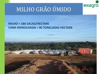 MILHO GRÃO ÚMIDO
MILHO = 180 SACAS/HECTARE
CANA HIDROLISADA = 90 TONELADAS HECTARE
 