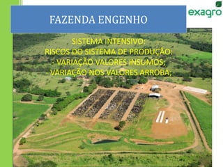 FAZENDA ENGENHO
SISTEMA INTENSIVO:
RISCOS DO SISTEMA DE PRODUÇÃO:
- VARIAÇÃO VALORES INSUMOS;
- VARIAÇÃO NOS VALORES ARROBA;
 