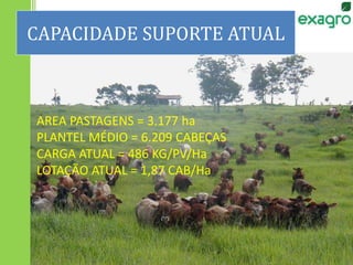 CAPACIDADE SUPORTE ATUAL
AREA PASTAGENS = 3.177 ha
PLANTEL MÉDIO = 6.209 CABEÇAS
CARGA ATUAL = 486 KG/PV/Ha
LOTAÇÃO ATUAL = 1,87 CAB/Ha
 
