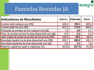 Fazendas Reunidas JA
Indicadores de Resultados Máximo Eldorado Média
Custeio total/ cabeça/ ano (R$) 540,4 159,3 229,5
Custeio total/ ha/ ano (R$) 807,2 173,0 280,0
Produção de arrobas de boi/ cabeça/ ano (@) 7,5 4,8 4,7
Prod. de arrobas de boi/ ha área disponível/ ano (@) 13,5 5,2 5,4
Valor médio de venda da arroba de boi do ano (R$) 104,4 79,3 80,3
Resultado líquido/ ha de área disponível/ ano (R$) 353,7 260,0 146,1
Resultado líquido/ha de área disponível/ ano (@) 5,0 3,3 1,8
Retorno/ capital em gado e máquinas (%) 46,5% 25,1% 14,3%
 
