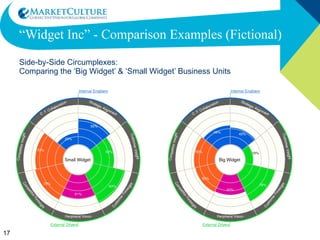 “ Widget Inc” - Comparison Examples (Fictional) Side-by-Side Circumplexes: Comparing the ‘Big Widget’ & ‘Small Widget’ Business Units 