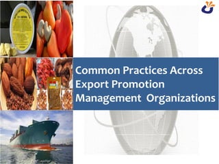 Common Practices Across
Export Promotion
Management Organizations
 