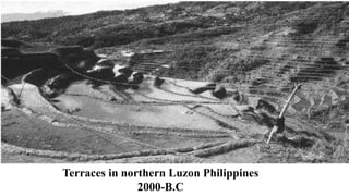 Terraces in northern Luzon Philippines
2000-B.C
 
