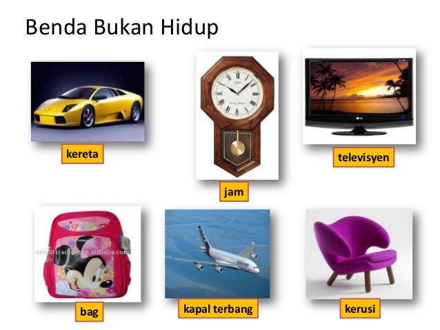 Benda Hidup Dan Benda Bukan Hidup