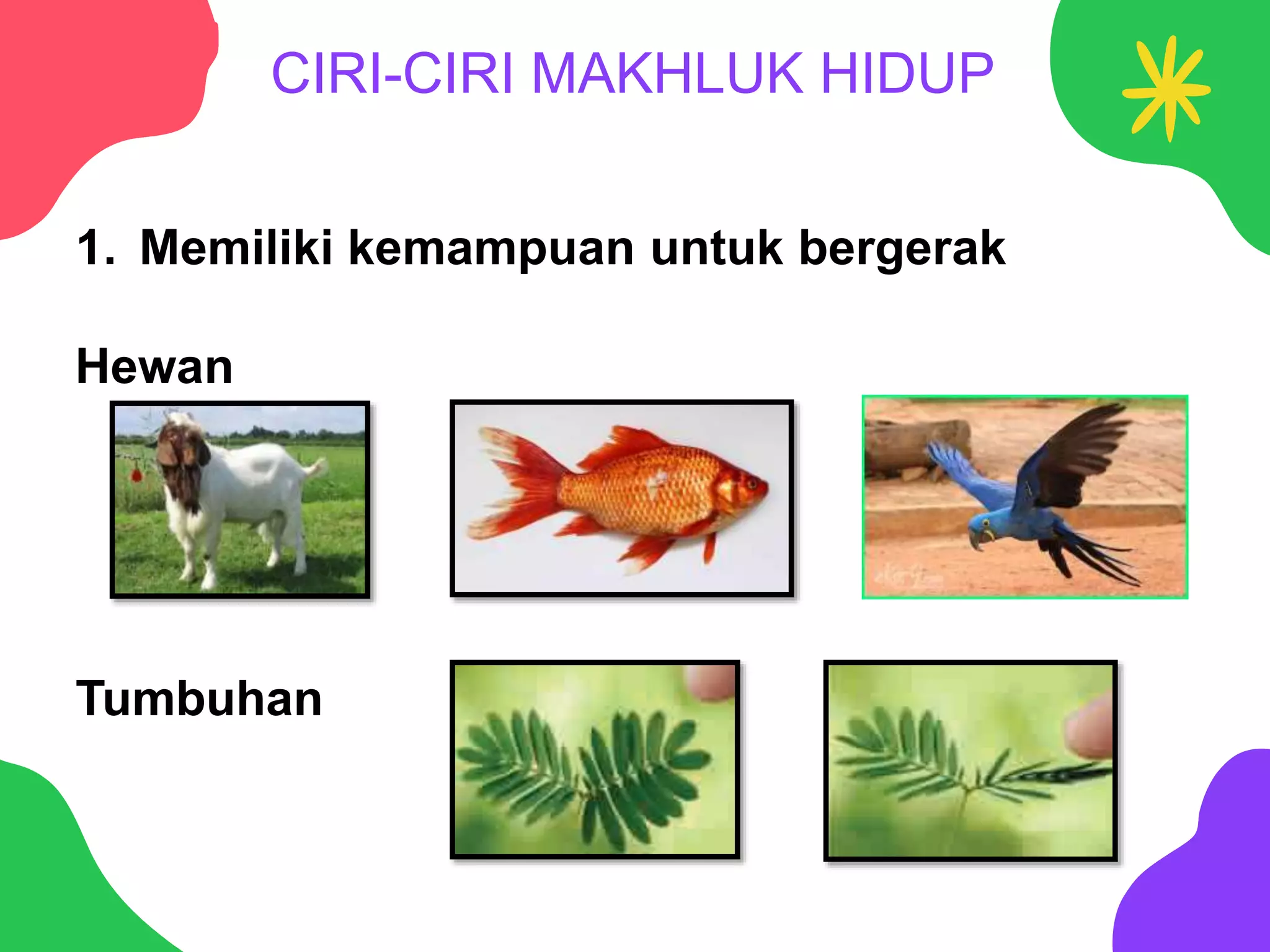 BENDA HIDUP dan BENDA MATI.pptx